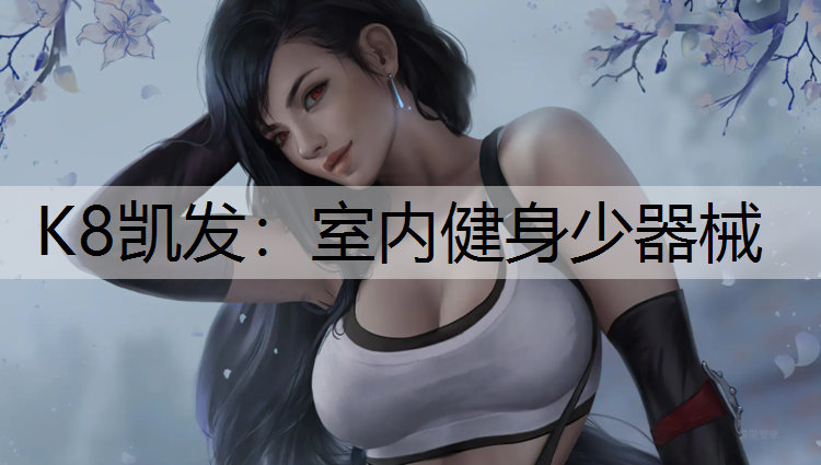 K8凯发：室内健身少器械