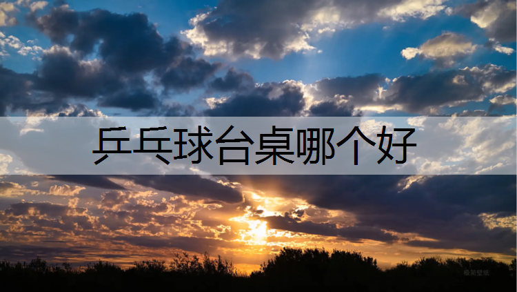 乒乓球台桌哪个好