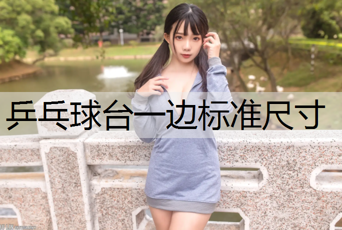 乒乓球台一边标准尺寸