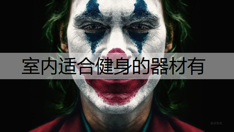 室内适合健身的器材有
