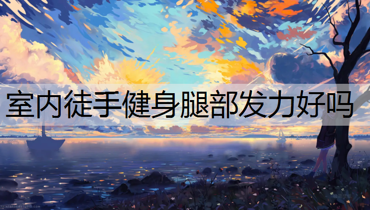 室内徒手健身腿部发力好吗