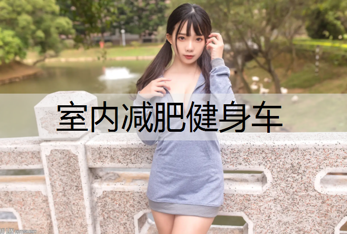 室内减肥健身车