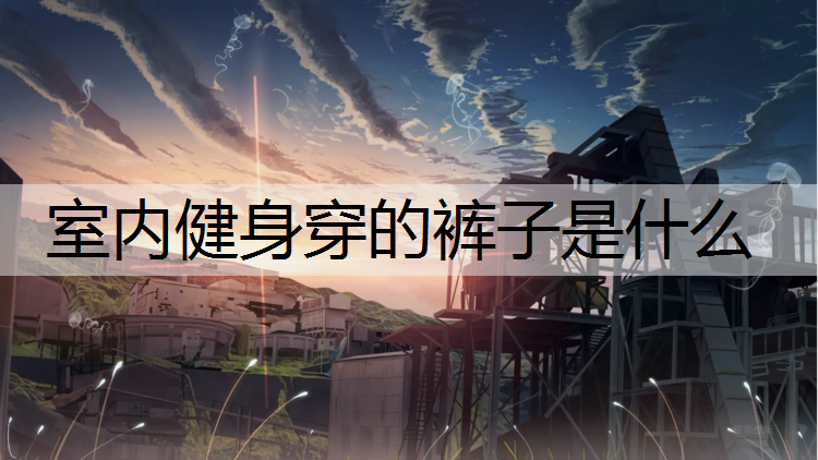 室内健身穿的裤子是什么