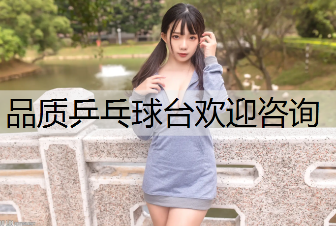 品质乒乓球台欢迎咨询