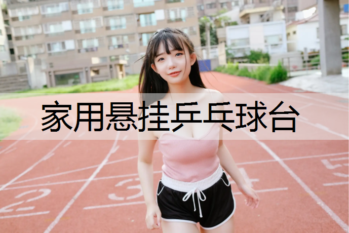 家用悬挂乒乓球台