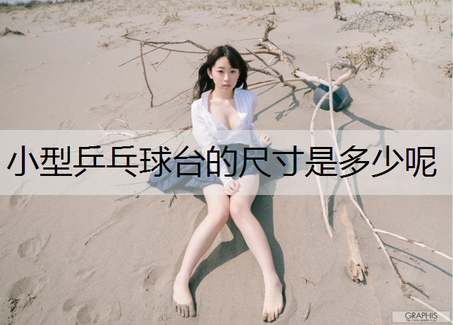 小型乒乓球台的尺寸是多少呢