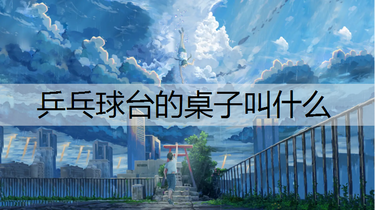 乒乓球台的桌子叫什么