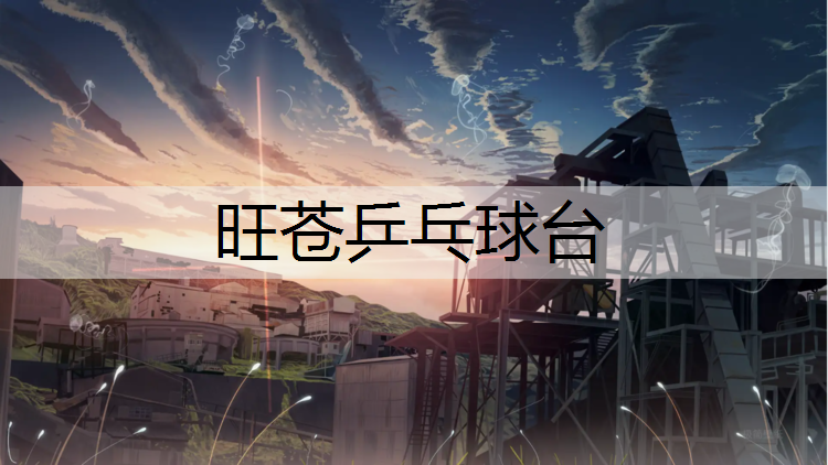 旺苍乒乓球台