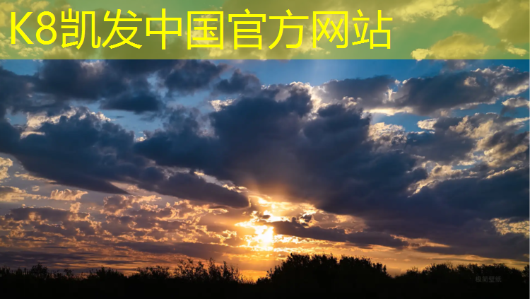 K8凯发国际官方网站：柔石公园塑胶跑道价格