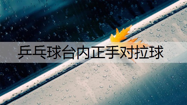 乒乓球台内正手对拉球 乒乓球台内正手对拉球