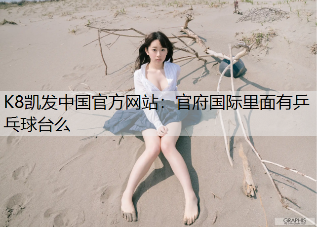 官府国际里面有乒乓球台么