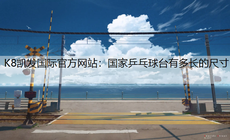 国家乒乓球台有多长的尺寸