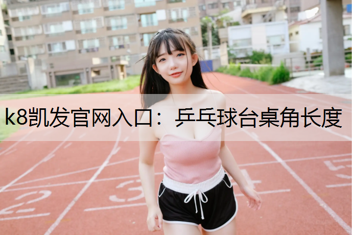 乒乓球台桌角长度