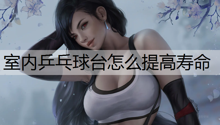 室内乒乓球台怎么提高寿命