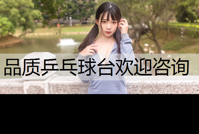 品质乒乓球台欢迎咨询