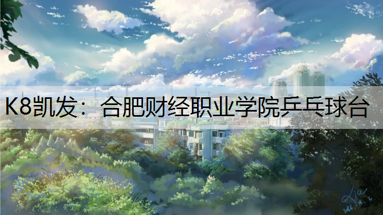 合肥财经职业学院乒乓球台