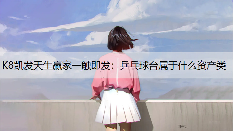 乒乓球台属于什么资产类