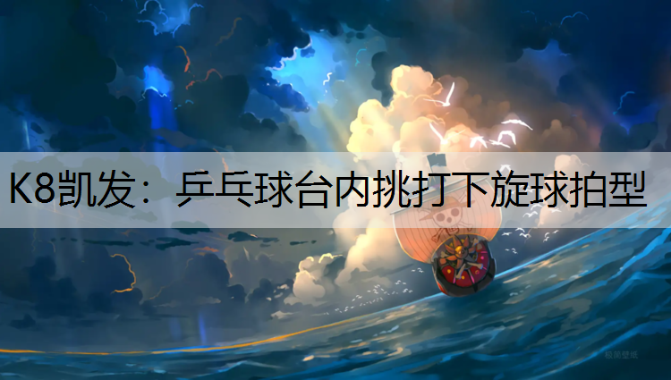 乒乓球台内挑打下旋球拍型