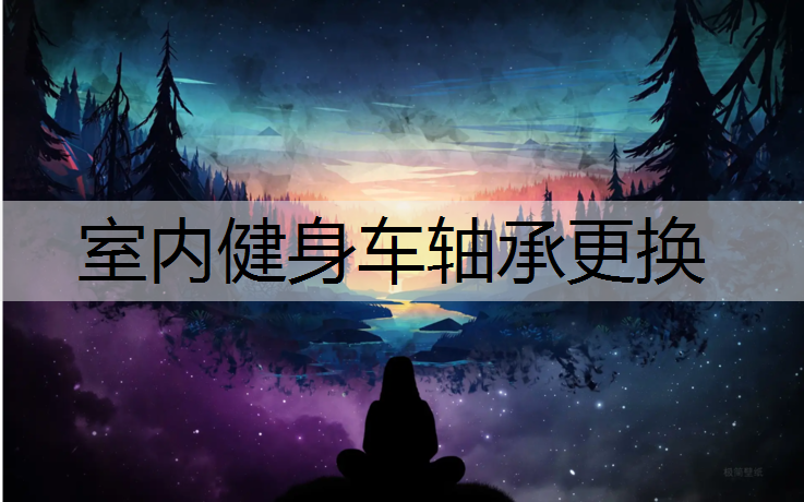 室内健身车轴承更换